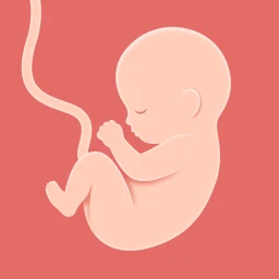Icono de HiMommy: App de embarazo